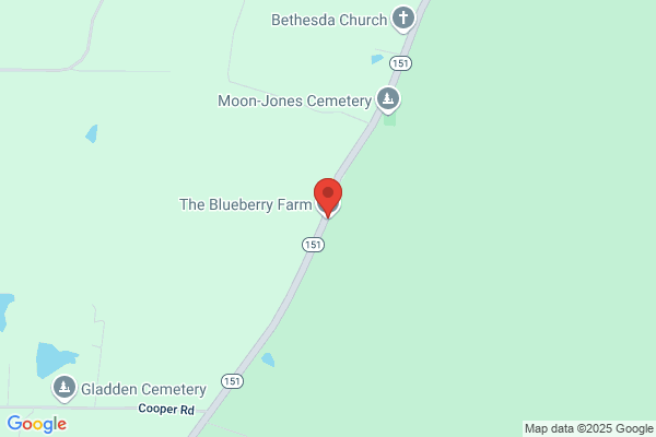 Blueberry Farms of Georgia