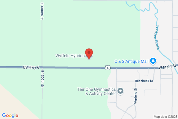 Wiffel's Hybrids Dan Means