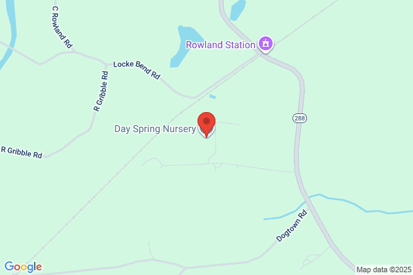 Daylight Springs Nursery
