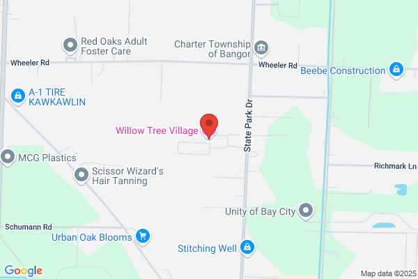 Willow Tree Village