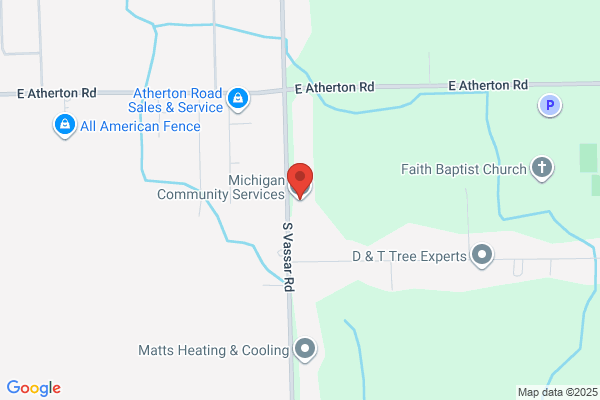 Michigan Community Services