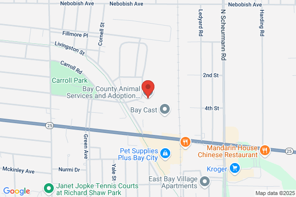 Bay City Animal Shelter