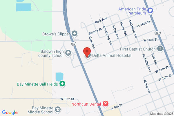 Biles, Michael K DVM - Biles Animal Hospital