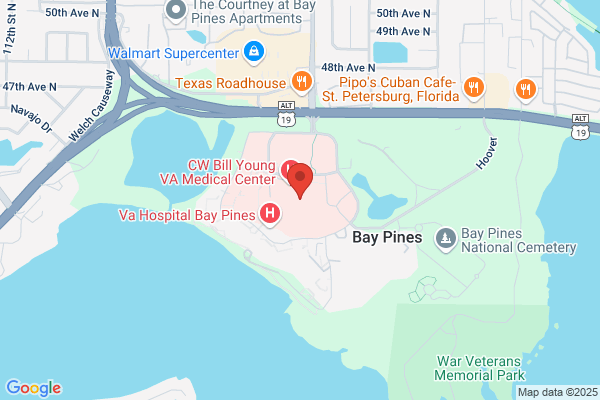 Bay Pines Travel