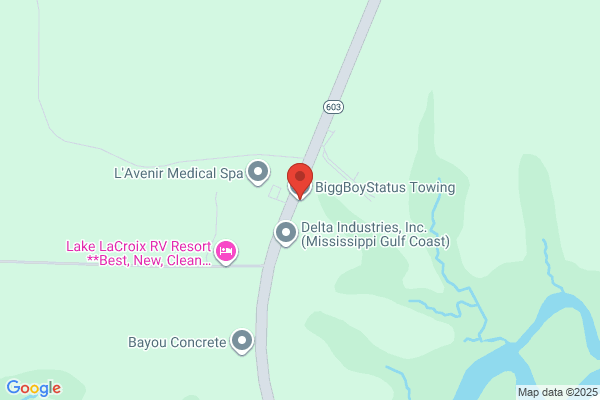 BIGGBOYSTATUS Towing and Road Service