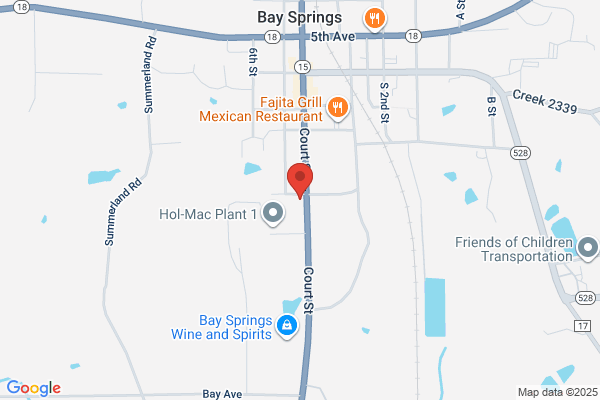 Bay Springs City of, Public Library