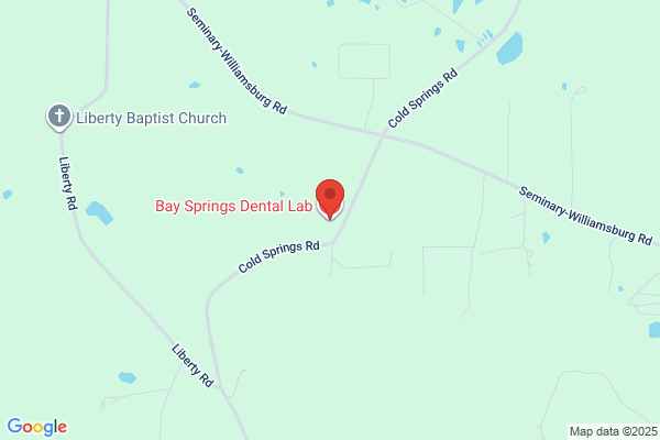 Bay Springs Dental Lab