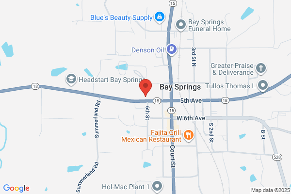 Bay Springs Florist