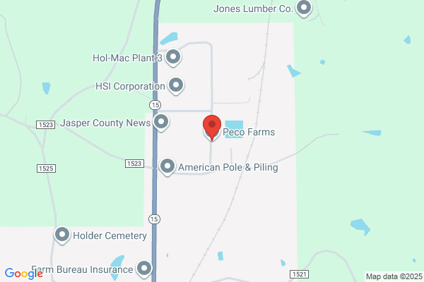 Bay Springs Foods Inc