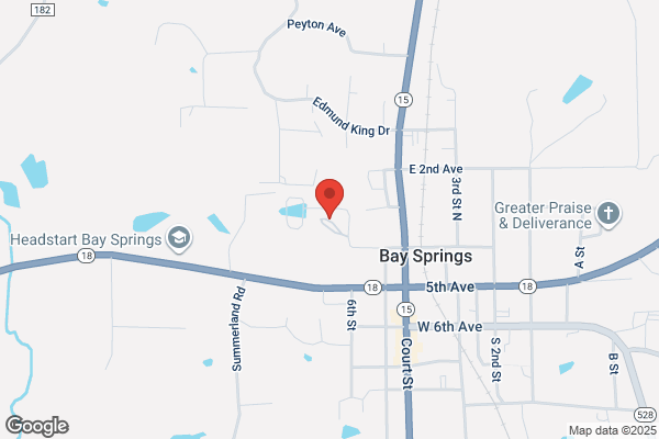 Bay Springs Housing