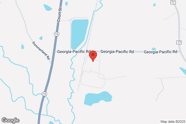 Georgia-Pacific Corporation