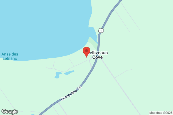 Bayview Auto Parts