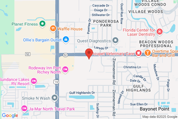 Tampa Bay Title Company Inc