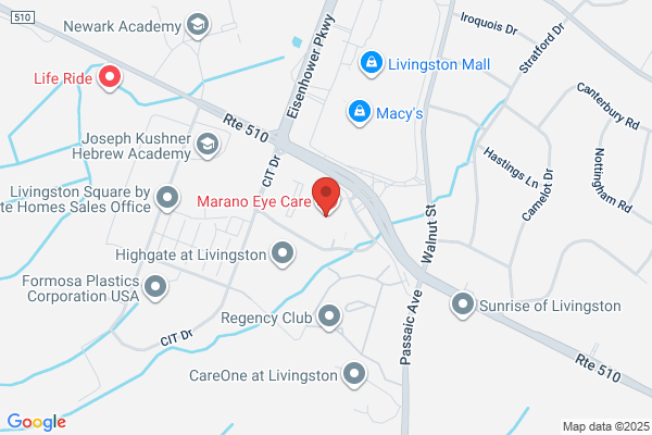 Fishman Michael