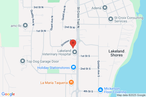 Metro Dental Care