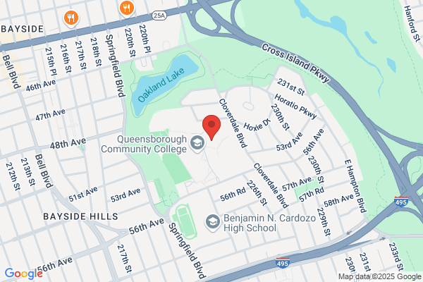 Oasis Day Camp in Bayside