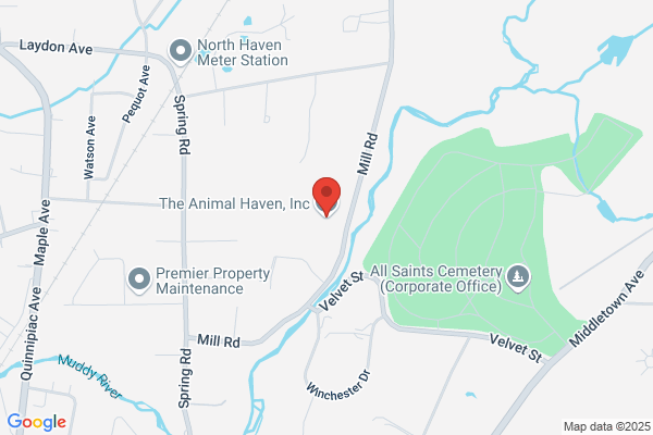 Animal Haven Inc