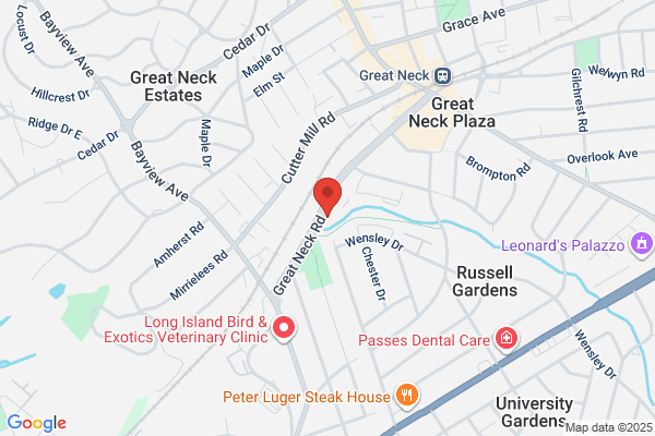 New York Neurologic Associates Llp