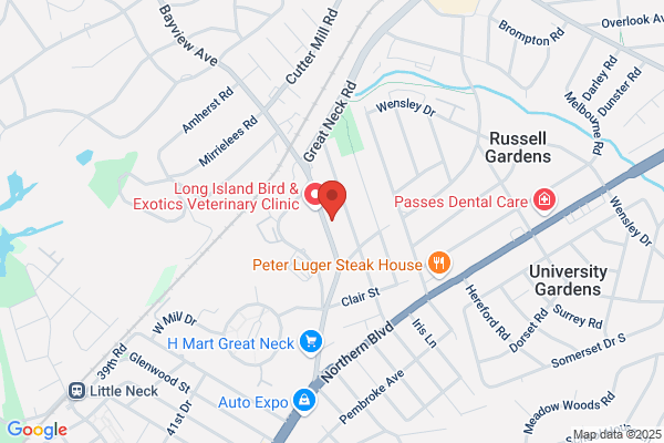 Great Neck Florist