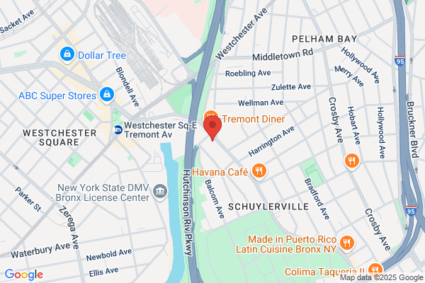 Throgs Neck Tae Kwon DO