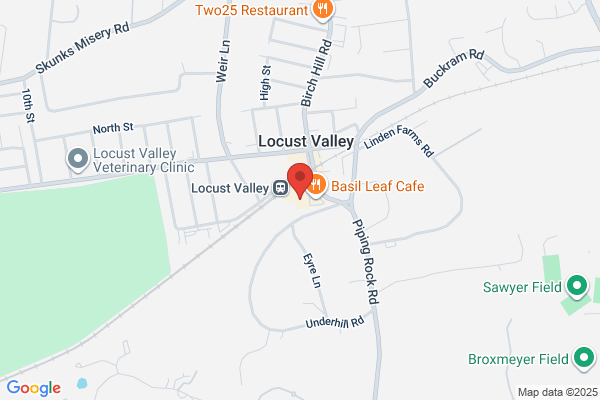 Locust Valley Oriental Rugs