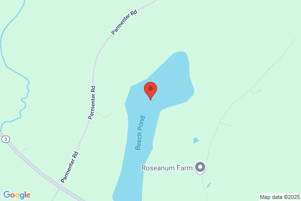 Beech Pond Woodworking
