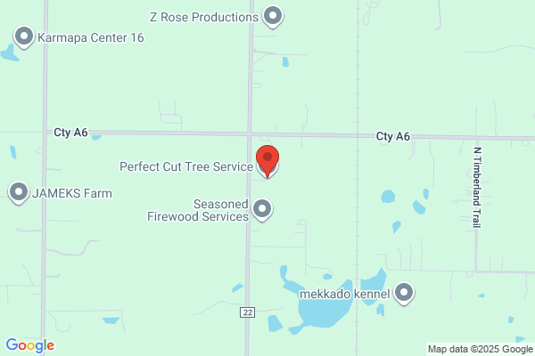 Perfect Cut Tree Service