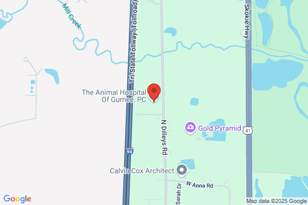 The Animal Hospital Of Gurnee, P.C.