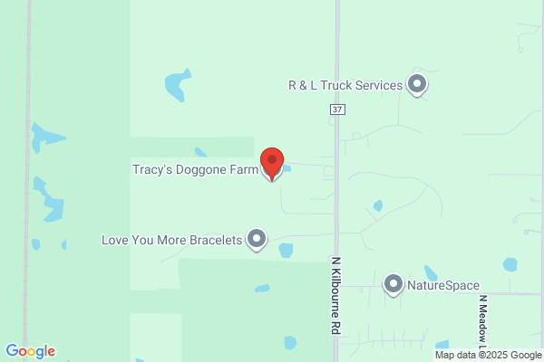 Tracy's Doggone Farm