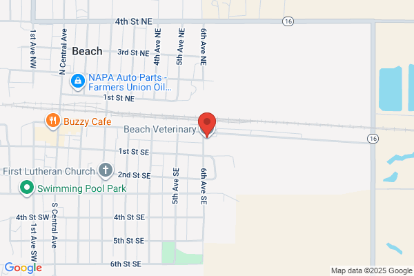 Beach Veterinary Clinic