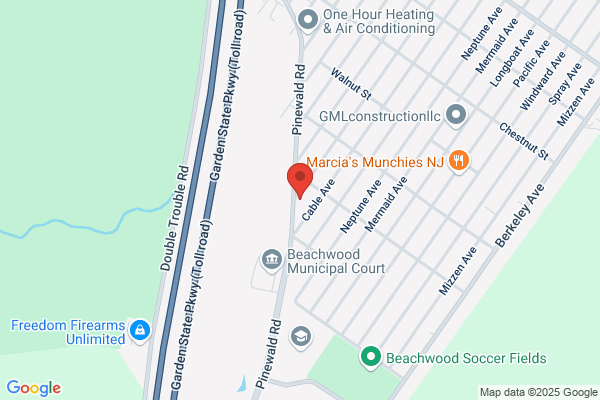 Action Appliance Service