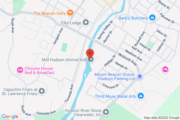 Beacon City of, Animal Control