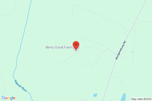 Berry Good Farm