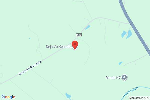 Deja Vu Kennels