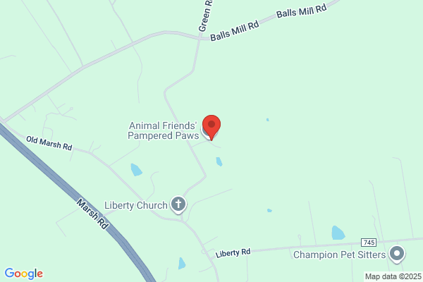 Liberty Hill Pet Resort