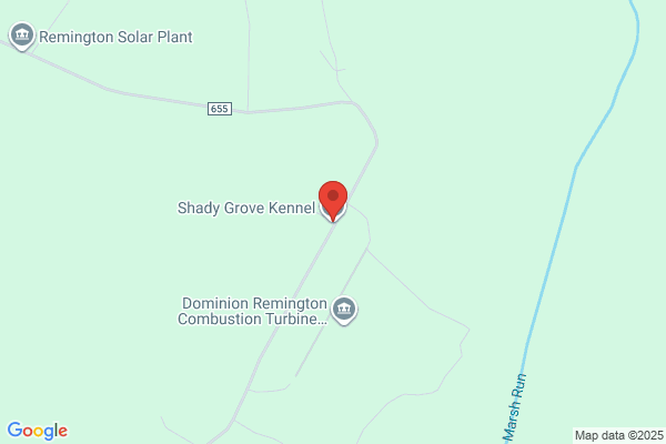 Shady Grove Kennel