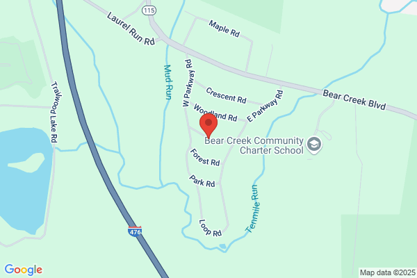 Studio Amid the Pines