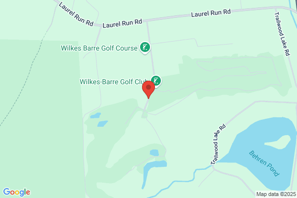 Wilkies