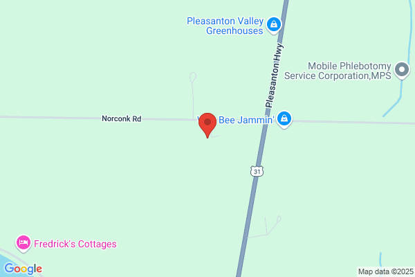 Crystal Forest Campground