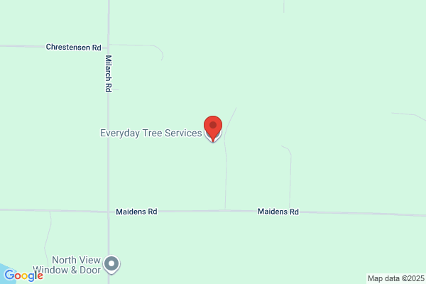 Everyday Tree Service