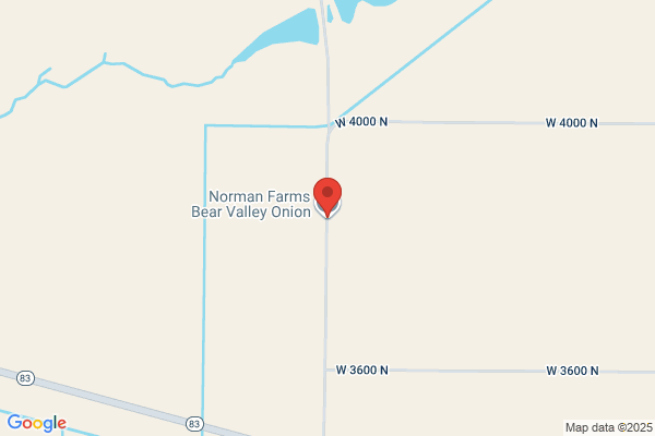 Western Onion Company Llc