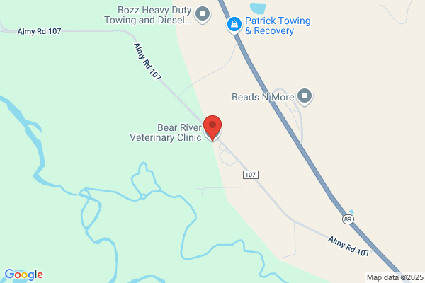 Bear River Veterinary Clinic