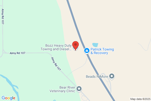 Bozz Towing and Diesel Roadside Evanston