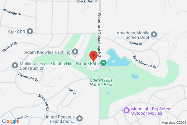Willow Tree Apartments