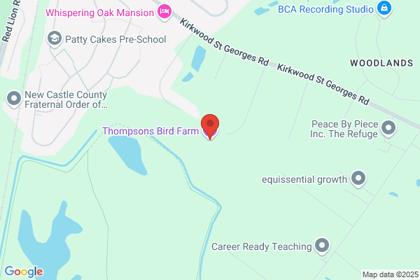 Thompson's Bird Farm