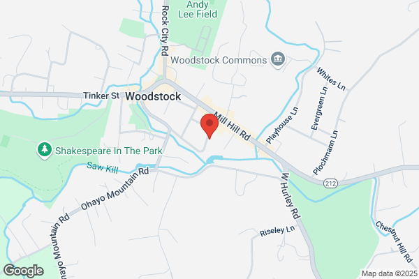 Woodstock Therapy Center