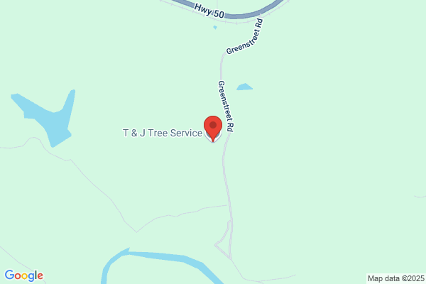 T & J Tree Service