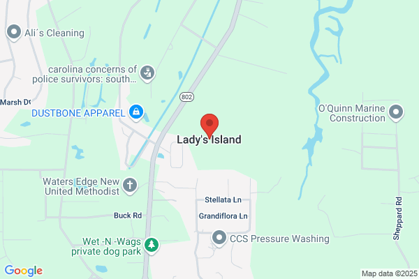 Lady's Island Shell