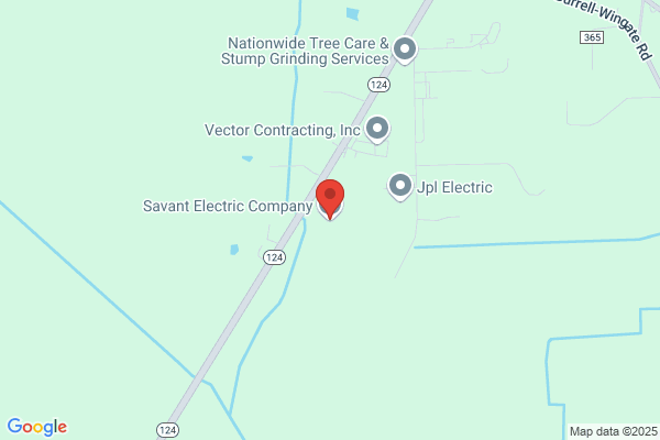 Savant Electric Company