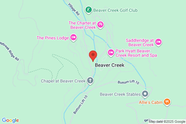 Paige Shonk, REALTOR | LIV Sotheby's International Realty | Resort Luxury Group